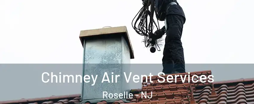  Chimney Air Vent Services Roselle - NJ