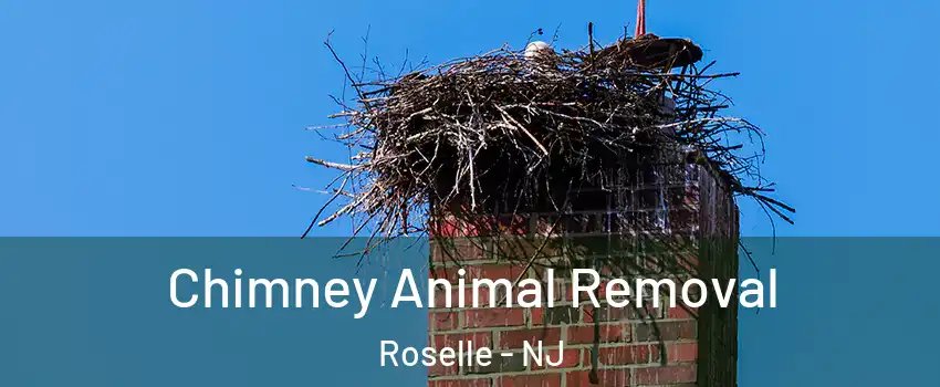  Chimney Animal Removal Roselle - NJ