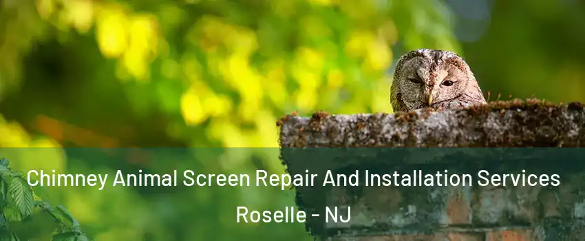  Chimney Animal Screen Repair And Installation Services Roselle - NJ
