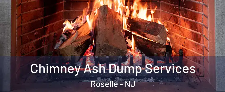  Chimney Ash Dump Services Roselle - NJ