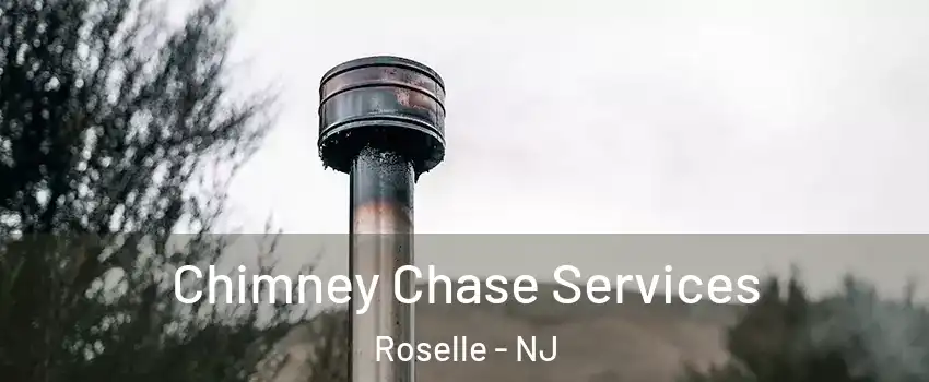  Chimney Chase Services Roselle - NJ
