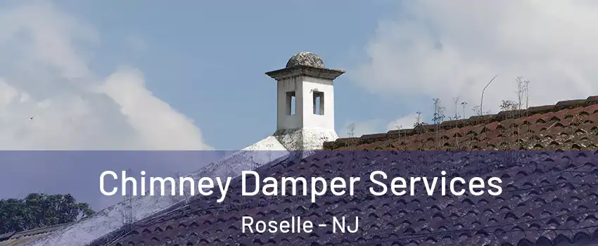  Chimney Damper Services Roselle - NJ