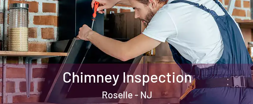  Chimney Inspection Roselle - NJ