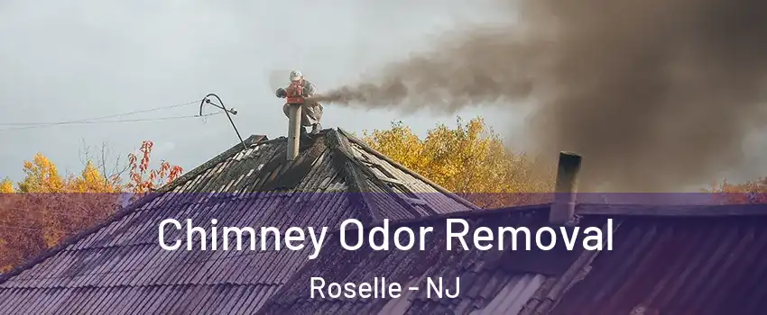 Chimney Odor Removal Roselle - NJ