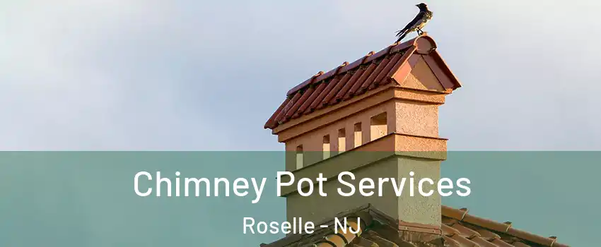  Chimney Pot Services Roselle - NJ
