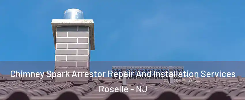  Chimney Spark Arrestor Repair And Installation Services Roselle - NJ