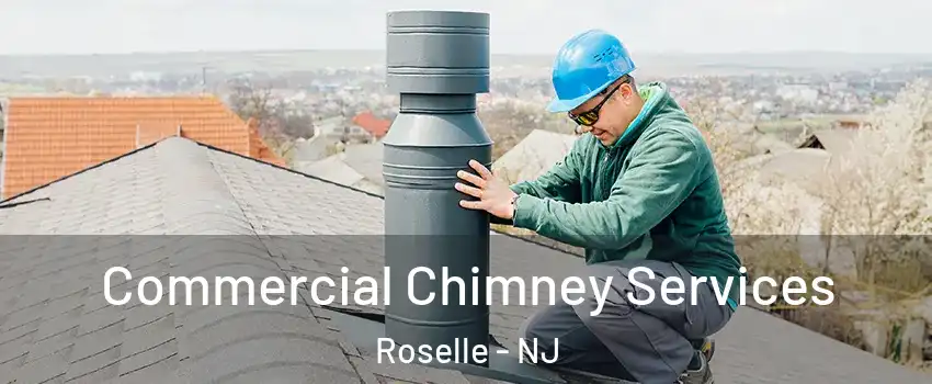  Commercial Chimney Services Roselle - NJ