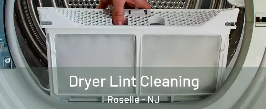  Dryer Lint Cleaning Roselle - NJ