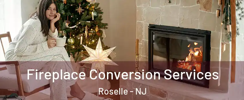  Fireplace Conversion Services Roselle - NJ