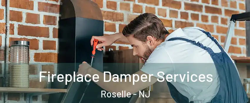 Fireplace Damper Services Roselle - NJ