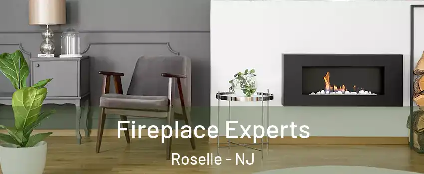 Fireplace Experts Roselle - NJ