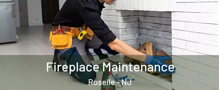  Fireplace Maintenance Roselle - NJ