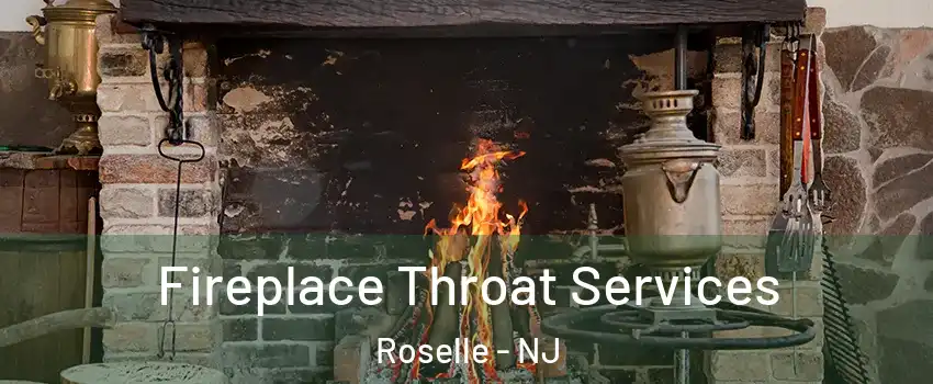  Fireplace Throat Services Roselle - NJ