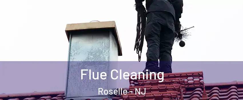  Flue Cleaning Roselle - NJ