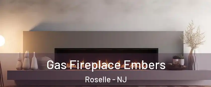  Gas Fireplace Embers Roselle - NJ