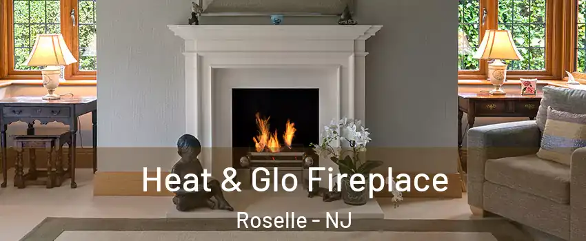  Heat & Glo Fireplace Roselle - NJ