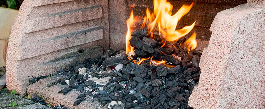 Remove Creosote From Brick in Roselle, NJ