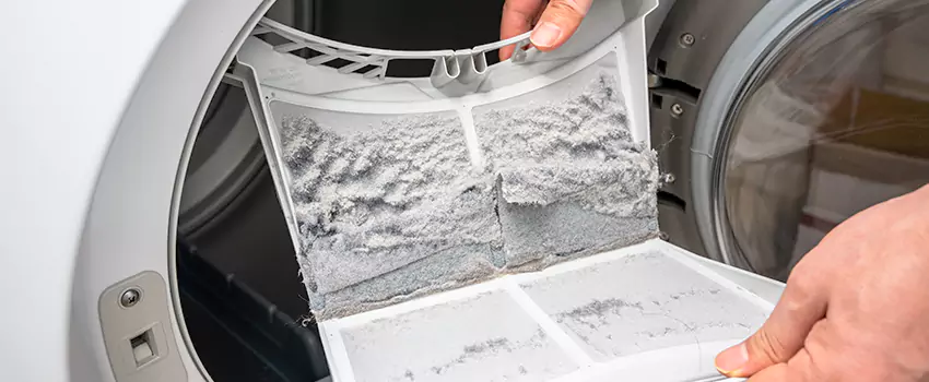 Best Dryer Lint Removal Company in Roselle, New Jersey