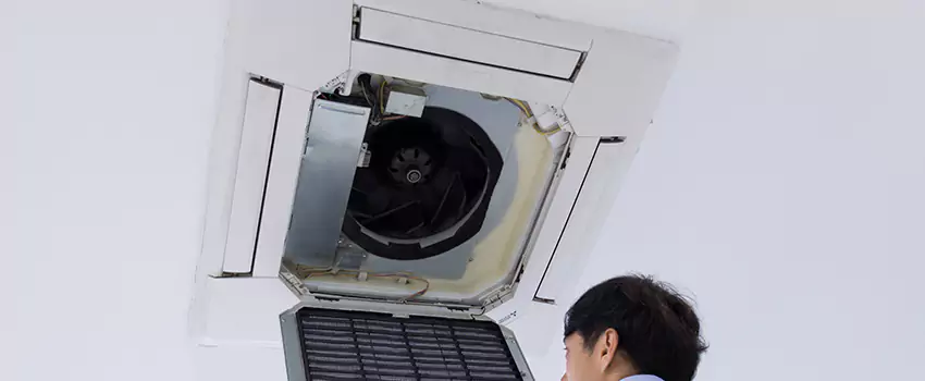 Benefits of Professional Air Duct Cleaning in Roselle, New Jersey
