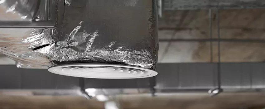 Signs of Dust Accumulation in Vents in Roselle, NJ