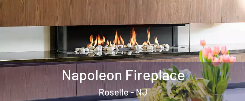  Napoleon Fireplace Roselle - NJ