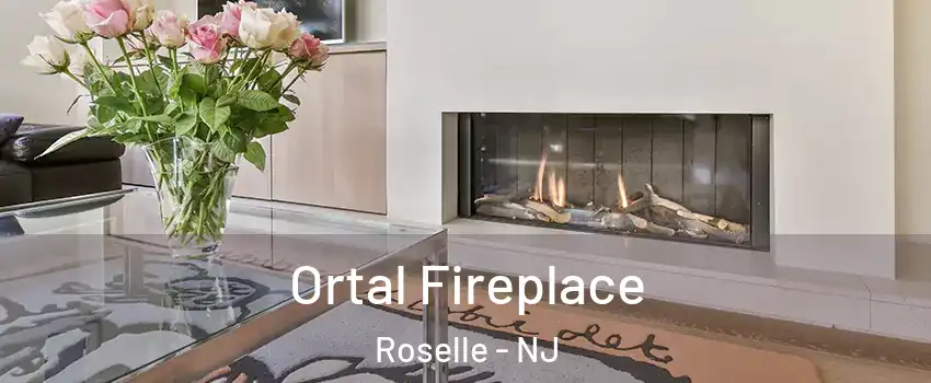 Ortal Fireplace Roselle - NJ