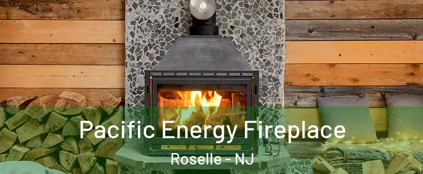  Pacific Energy Fireplace Roselle - NJ
