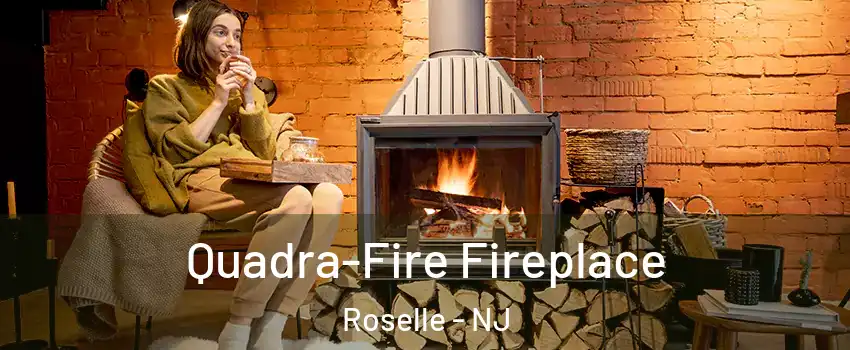  Quadra-Fire Fireplace Roselle - NJ