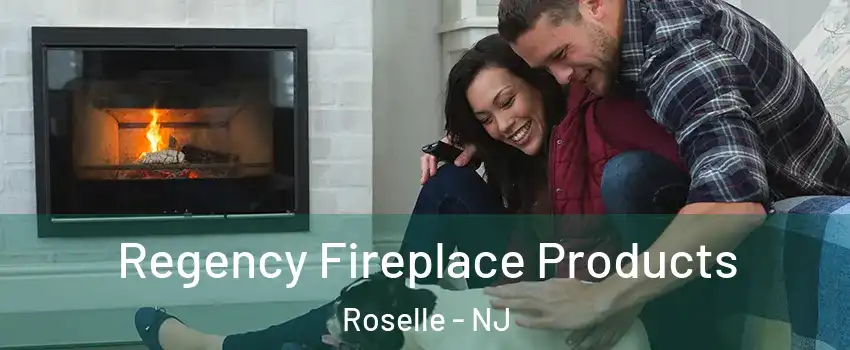  Regency Fireplace Products Roselle - NJ